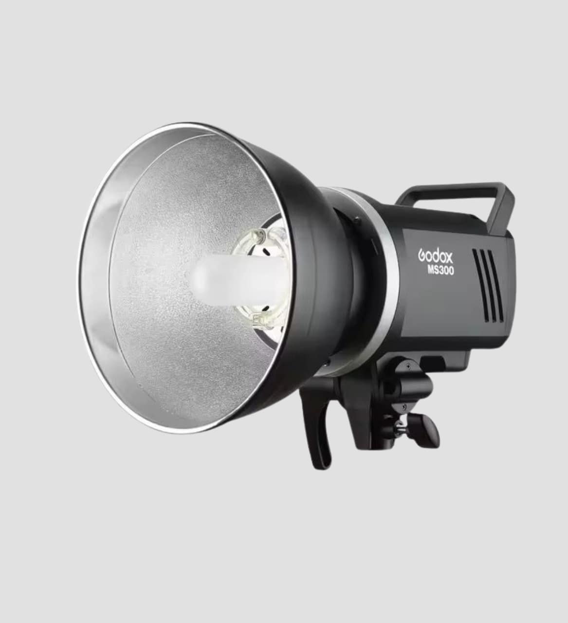 Flash Godox MS300