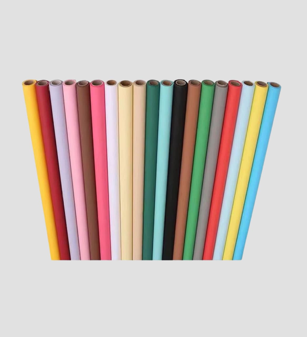 Fond Papier Studio 2m72x11m