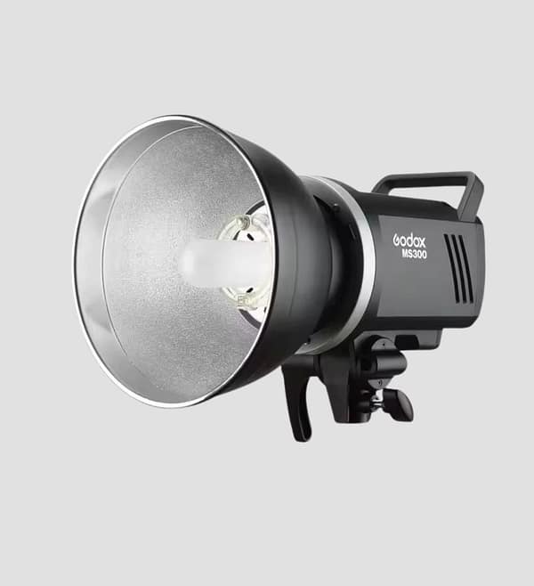 Flash Godox MS300