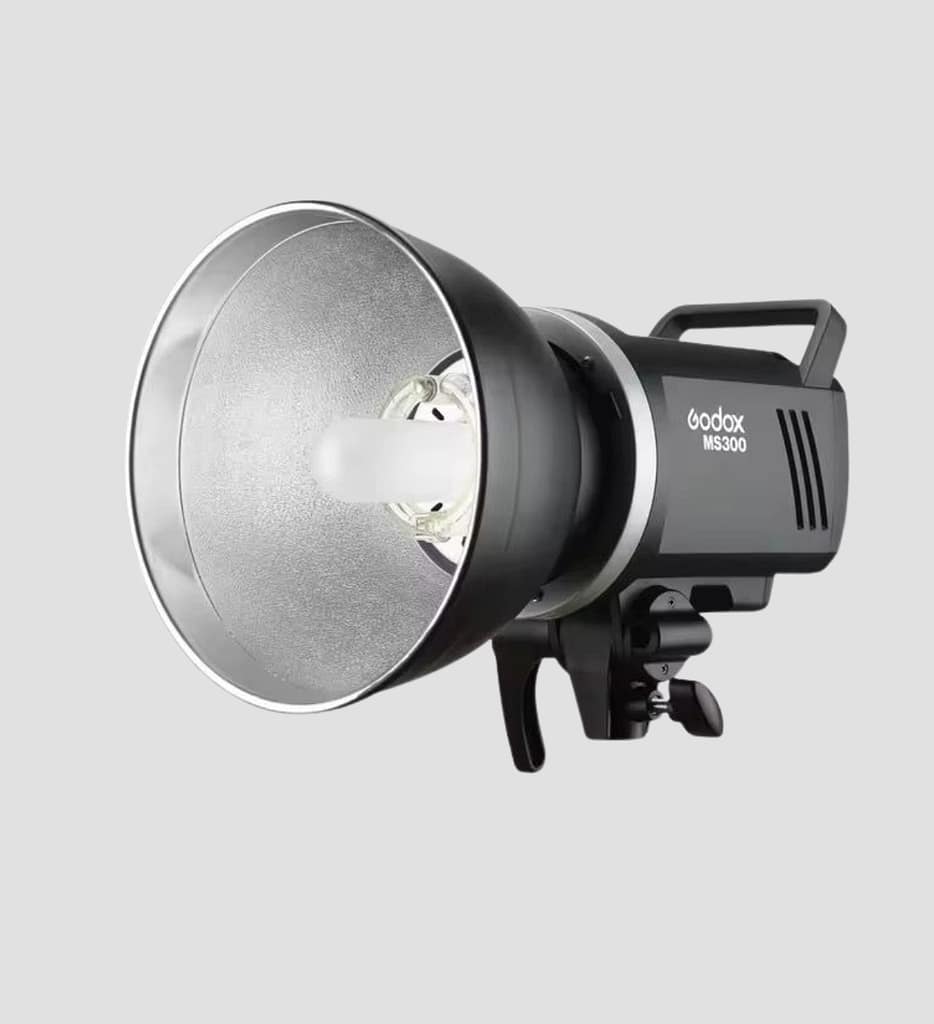 Flash Godox MS300